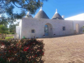 Trullo in vigna Cisternino